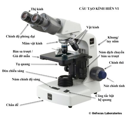 CẤU TẠO CỦA KÍNH HIỂN VI