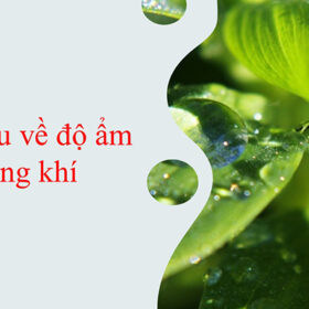 Độ ẩm không khí ảnh hưởng đến sức khỏe con người