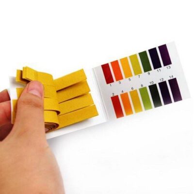 Giấy quỳ tím đo pH