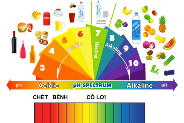Độ pH của một số chất khác