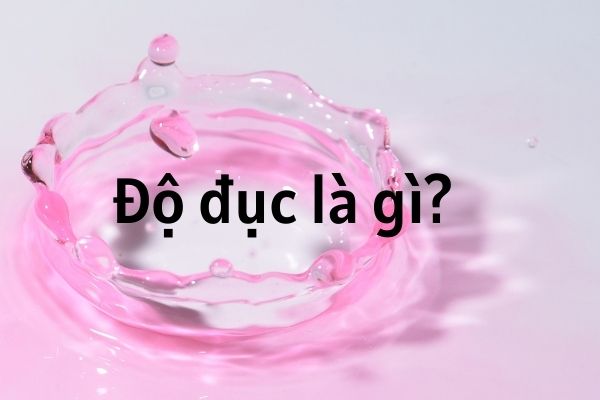 ĐỘ ĐỤC LÀ GÌ?