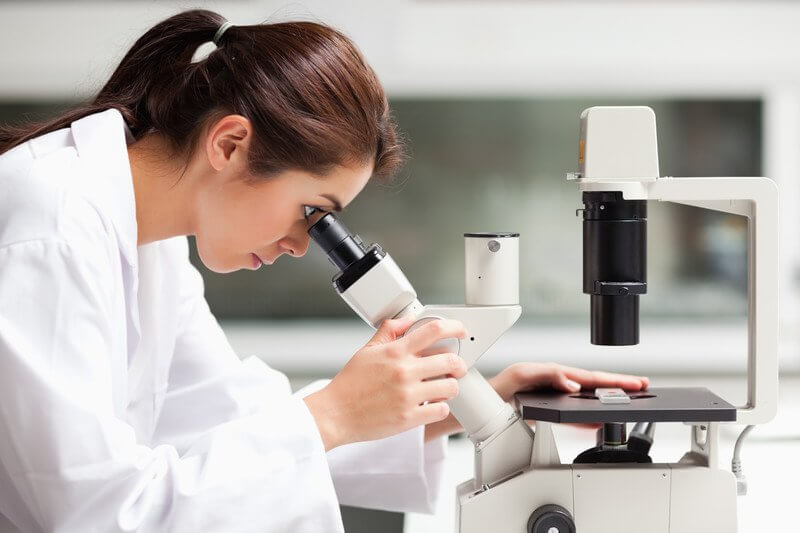 Cách sử dụng kính hiển vi
