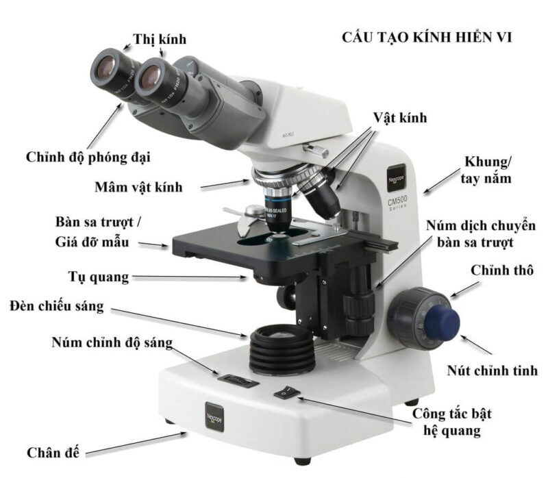 Cấu tạo của kinh hiển vi