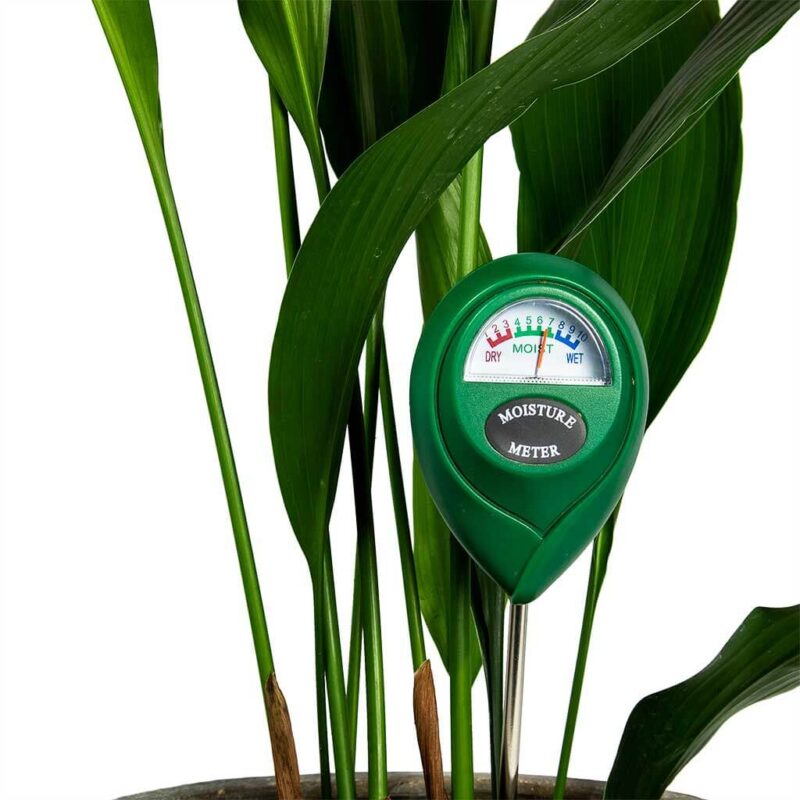 Những dạng máy đo độ ẩm trên thị trường