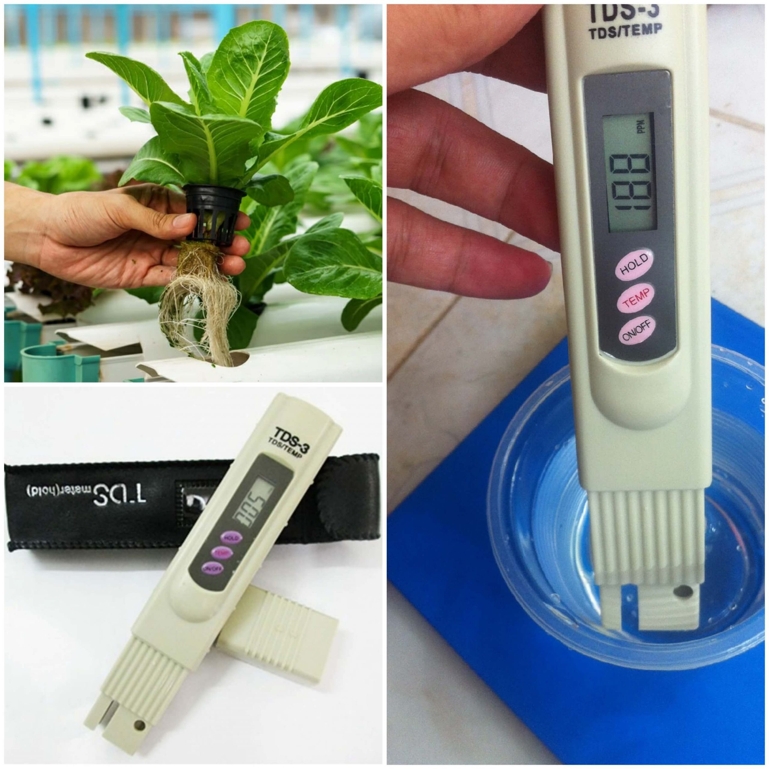 Tại sao nên lựa chọn máy đo nước tds để sử dụng trong gia đình?