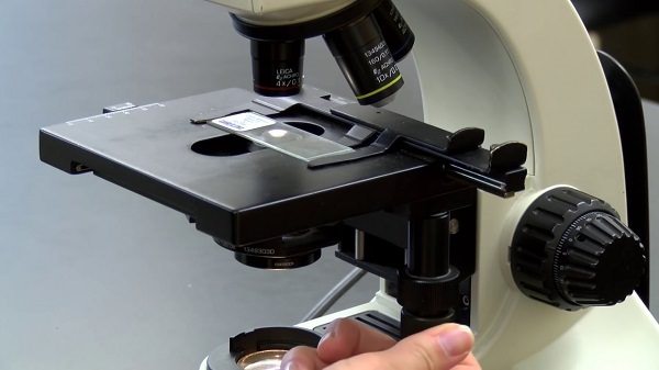 Giới hạn độ phân giải của kính hiển vi quang học