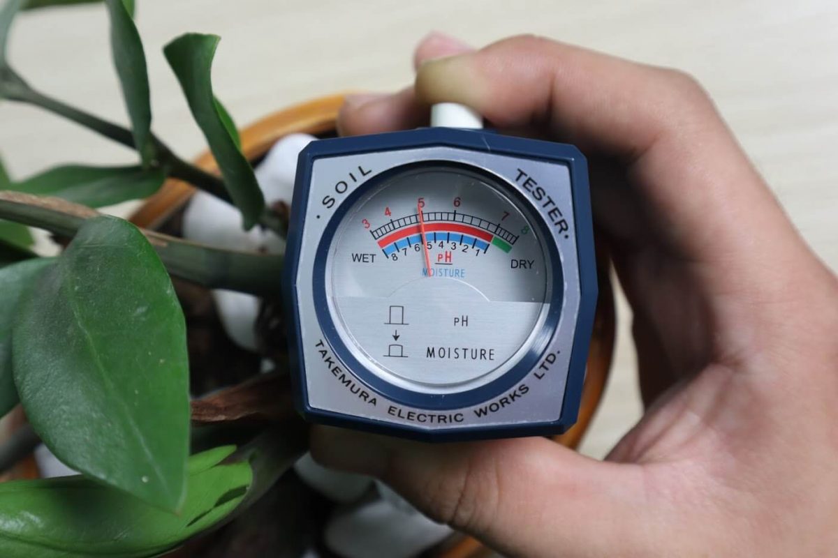 Hướng dẫn sử dụng dm 15