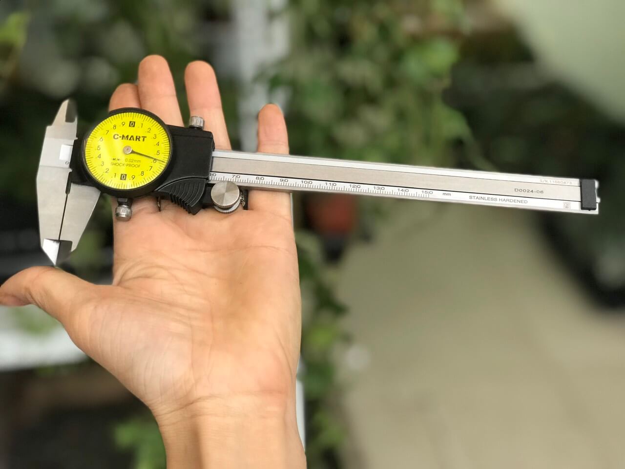 Phân loại dựa vào đặc điểm cấu tạo