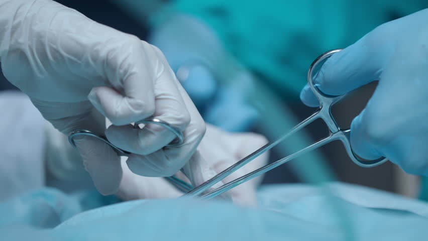 Phân loại theo chức năng sử dụng