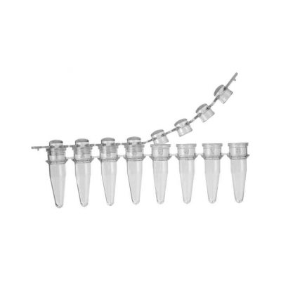 Tuýp PCR 0.2ml, 8-strip, không RNase & Dnase, endotoxin - Biologix