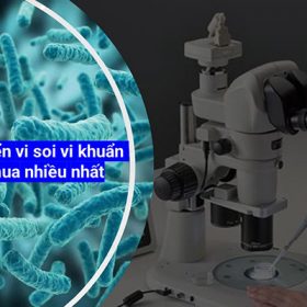 Top 5+ Kính hiển vi soi vi khuẩn được chọn mua nhiều nhất