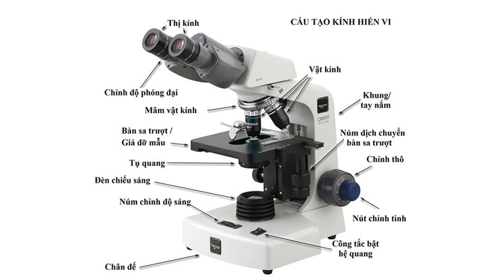 Các bộ phận của kính hiển vi quang học