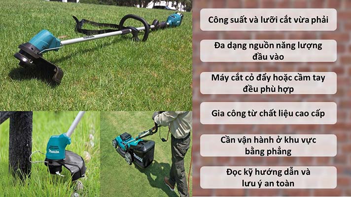 Máy cắt cỏ gia đình