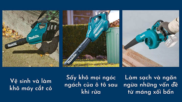 Máy thổi lá