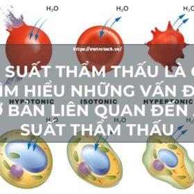 áp suất thẩm thấu