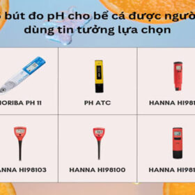 bút đo ph cho bể cá