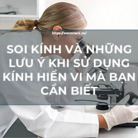 Soi kính và những lưu ý khi sử dụng kính hiển vi mà bạn cần phải biết