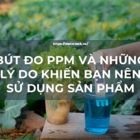 Bút đo ppm và những lý do khiến bạn nên sử dụng sản phẩm