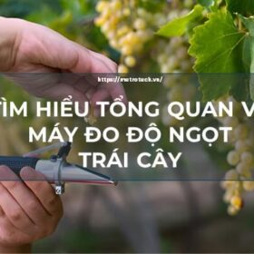 Máy đo độ ngọt trái cây